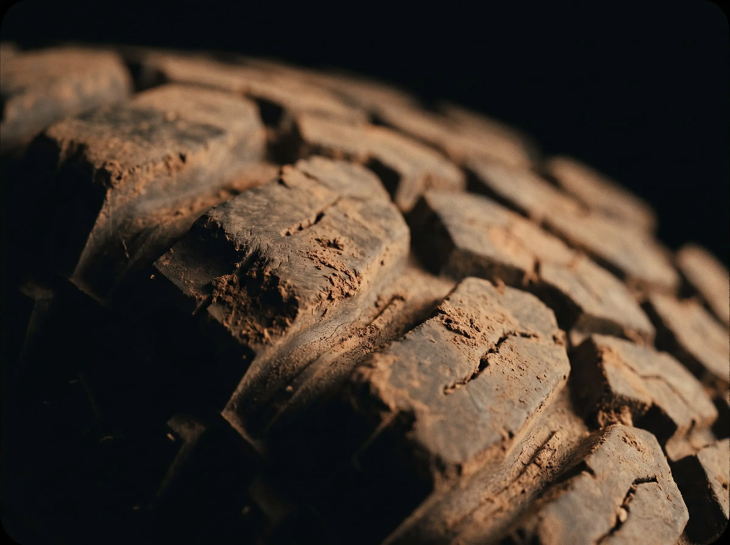 Aggressive mud-terrain tyre tread in dramatic side light